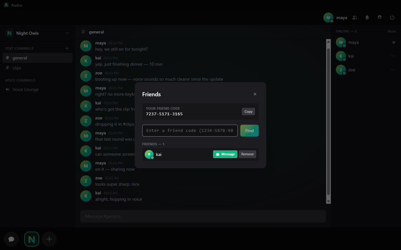 Audro friends panel with friend code and direct message button